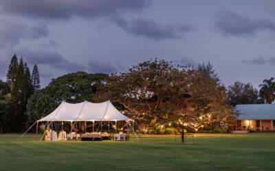 Gala for the Grove